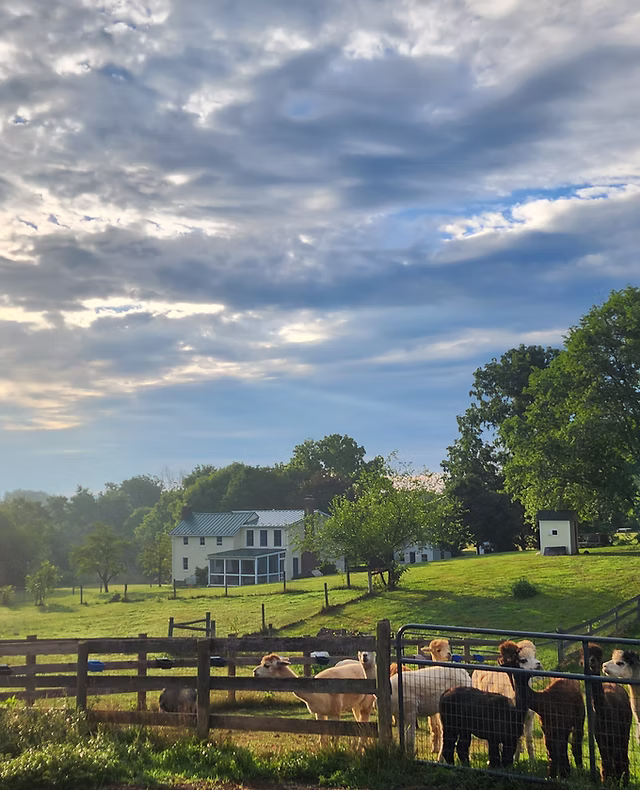 Farm at golden hour outside Brunswick